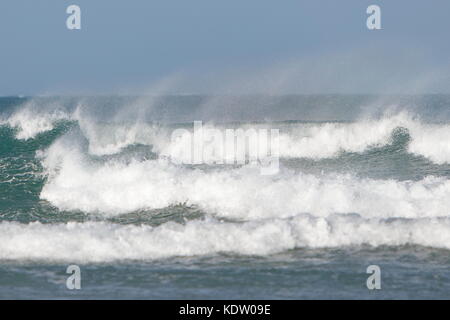 Newquay, Royaume-Uni. 16 octobre 2017. Météo Royaume-Uni. De forts vents au large de l'ex-ouragan Ophelia rasent les hauts vagues sur la côte nord de Cornwall sur Fistral Beach. Crédit : Nicholas Burningham/Alay Live News Banque D'Images