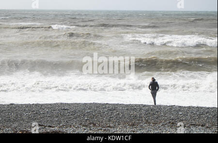 Aberystwyth, Pays de Galles, Royaume-Uni. 16 Oct, 2017. Météo France : Tempête Ophelia à Aberystwyth, Pays de Galles, UK,Royaume-uni,l'Europe. Les vents forts venant de la mer d'Irlande, avec rafales jusqu'à 70mph, pâte à la ville de La Baie de Cardigan Aberystwyth, Ceredigion, pays de Galles de l'Ouest. Le Met Office a émis des avertissements de l'ambre pour la région dans les restes de l'ouragan Ophelia atteindre UK. Un sort de très venteux est attendu aujourd'hui en association avec d'ex-Ophélie. Temps de trajet plus long et les annulations sont susceptibles, comme le transport routier, ferroviaire, aérien et maritime services peuvent être affectés aussi bien que quelques fermetures de pont. Crédit : Paul Quayle/Alamy Live News Banque D'Images
