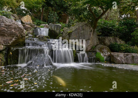 Londres, Royaume-Uni. 16 octobre 2017. Météo France : une carpe koï nage par comme la litière de feuilles mortes de la surface de l'étang dans le Jardin de Kyoto dans la région de Holland Park, à l'ouest de Londres. Le jardin japonais d'ornement a été donné par la Chambre de Commerce de Kyoto en 1991. Crédit : Stephen Chung / Alamy Live News Banque D'Images