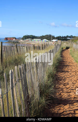 Dunes de sable de dawlish warren sur la côte sud du Devon Banque D'Images