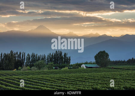 Les Andes des vignobles de la vallée de uco nr tupungato, province de Mendoza, Argentine Banque D'Images