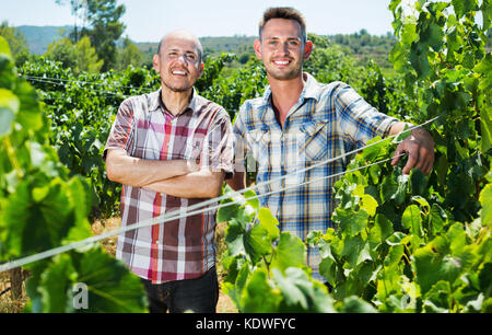 Deux joyeux jardiniers souriant debout ensemble dans la cour en plein soleil arbre raisins Banque D'Images