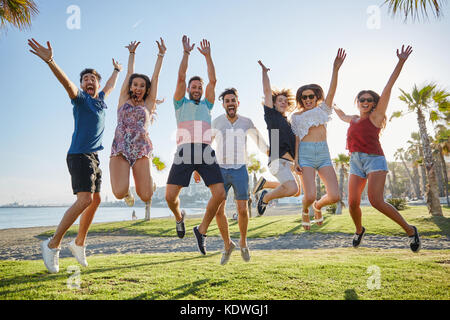 Portrait de groupe d'amis à l'élever avec les mains Banque D'Images