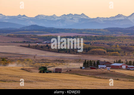 Les nuages captent le coucher de soleil au-dessus des contreforts à l'ouest de Calgary où les champs sont récoltés. Banque D'Images