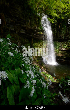 Cascade de Glencar, inspirer, l'Inspiration, l'Enfant volé, poème, poèmes, William Butler Yeats, County Leitrim, Ireland, façon sauvage de l'Atlantique, l'Irlande, RM Banque D'Images