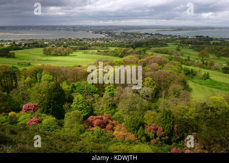 Château de Howth, Terrain de Golf, le littoral, les zones côtières, le golf, sport, sports, littoral, paysage, Rhododendrons, fleur, floraison, printemps, Irlande Banque D'Images
