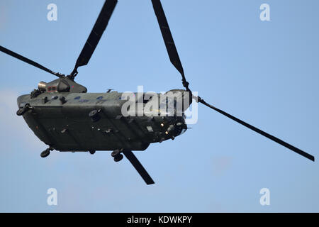 Chinook de Boeing Banque D'Images