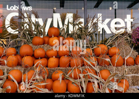 Citrouille d'automne et des ballots de foin afficher à l'extérieur d'un marché de l'épicerie Loblaws City, Vancouver, BC, Canada Banque D'Images