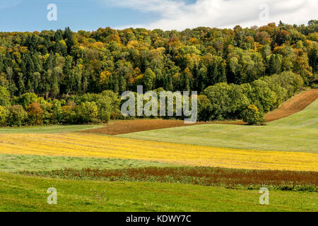 Paysage agricole dans la région du Jura. Bourgogne-Franche-Comté. Jura. France Banque D'Images