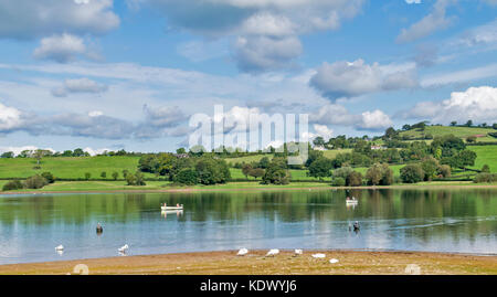 BLAGDON LAKE SOMERSET ANGLETERRE PÊCHEURS DE TRUITE PÊCHE EN BATEAUX ET DE PATAUGER DANS LE LAC AUX CYGNES SUR LA BANQUE Banque D'Images