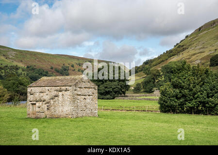 Grange en pierre traditionnelle ou 'cow house' près de muker dans swaledale, Yorkshire Dales national park, England. Banque D'Images