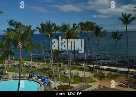 PALM ET PISCINES À HAWAÏ Banque D'Images