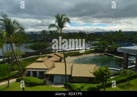 PALM ET PISCINES À HAWAÏ Banque D'Images