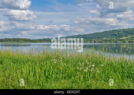 BLAGDON LAKE SOMERSET ENGLAND PRINTEMPS les prés remplis de fleurs sauvages et ROSELIÈRES LE LONG DE LA RIVE Banque D'Images