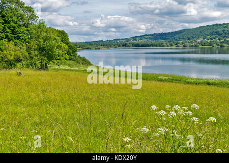 BLAGDON LAKE SOMERSET ENGLAND PRINTEMPS les prés remplis de fleurs sauvages ARBRES FEUILLU LE LONG DU LAC ET UN PÊCHEUR SUR LA RIVE Banque D'Images