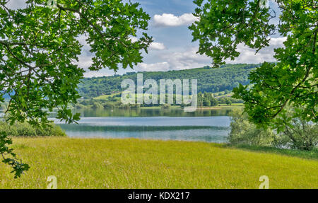 BLAGDON LAKE SOMERSET ENGLAND PRINTEMPS les prés remplis de fleurs sauvages ARBRES FEUILLU LE LONG DU LAC DES BANQUES ET UN PÊCHEUR EN BARQUE Banque D'Images