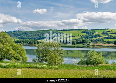 BLAGDON LAKE SOMERSET ENGLAND PRINTEMPS les prés remplis de fleurs sauvages et arbres FEUILLU LE LONG LES RIVES DU LAC Banque D'Images