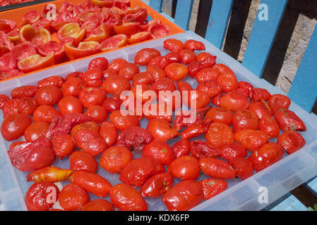 Le bac de tomates séchant au soleil Banque D'Images