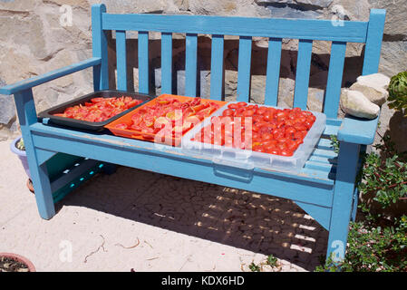 Le bac de tomates séchant au soleil Banque D'Images