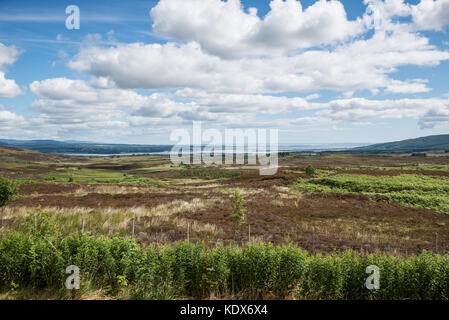 À la recherche sur l'Estuaire de Cromarty et Cromarty, pont de l'A832 dans les montagnes de l'Ecosse, sur une claire journée d'été. Banque D'Images