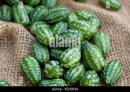 Cucamelon fruits, également connu sous le nom de cornichons aigre mexicain Mexicain, concombres Melothria scabra, ou sur un sac de toile de jute, contexte Banque D'Images