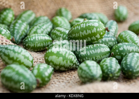 Cucamelon fruits, également connu sous le nom de cornichons aigre mexicain Mexicain, concombres Melothria scabra, ou sur un sac de toile de jute, contexte Banque D'Images