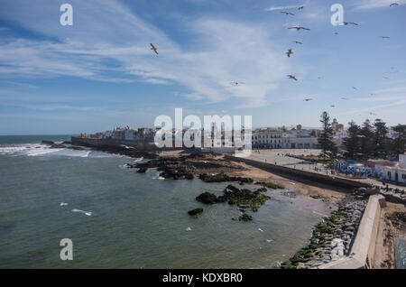 Vue de la vieille ville d'Essaouira et rampante de l'océan du Port de Scala ( le nord de Skala ) fort avec les mouettes au premier plan, Mugadur, Maroc Banque D'Images