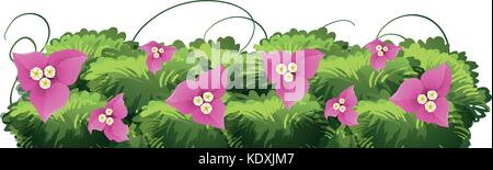 Fleurs de bougainvilliers en illustration couleur rose Illustration de Vecteur