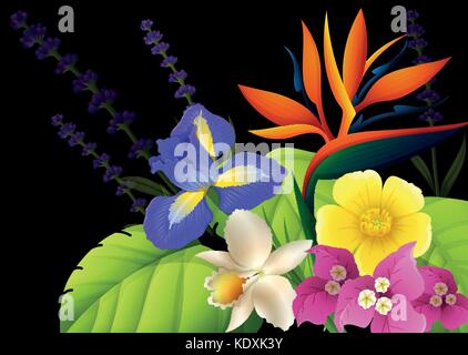 Différents types de fleurs sur fond noir illustration Illustration de Vecteur