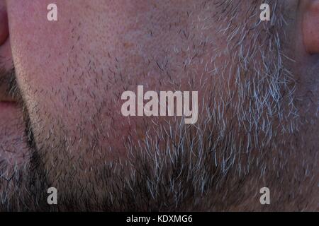 Close up of a senior man, chaumes gris et noir dans un visage de l'homme, barbe attrayant d'un homme âgé avant le rasage, Banque D'Images