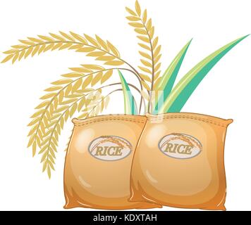 Deux sacs de riz illustration Illustration de Vecteur