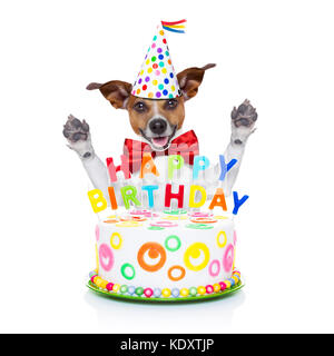 Chien Jack Russell comme une surprise derrière joyeux anniversaire gâteau avec bougies ,portant cravate rouge et party hat , isolé sur fond blanc Banque D'Images