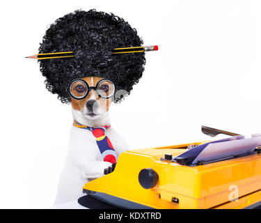 Jack Russell chien secrétaire de la saisie sur un clavier de machine à écrire , isolé sur fond blanc, portant une perruque afro fou Banque D'Images
