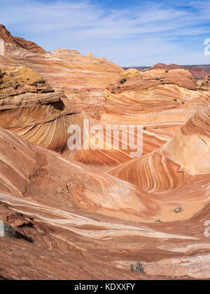 Grès spectaculaires plicature à la vague, Vermilion Cliffs National Monument, Arizona. Banque D'Images