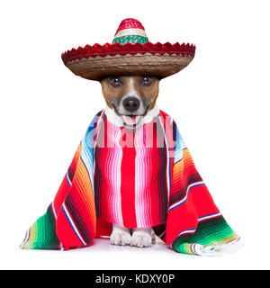 Sombrero mexicain avec chien et un grand poncho Banque D'Images