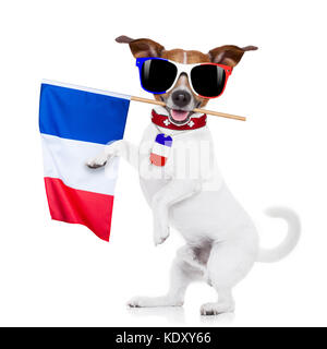 Championnat de football chien Jack Russell et drapeau français isolé sur fond blanc Banque D'Images