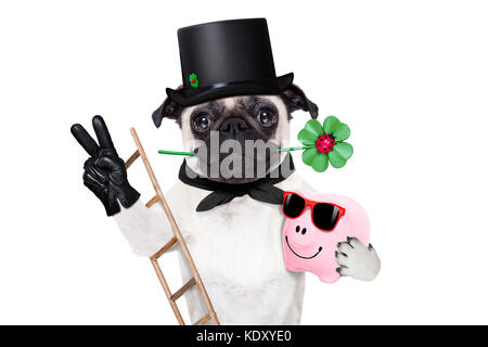 Le PUG dog comme ramoneur avec trèfle à quatre feuilles de célébrer et de grillage pour nouvel an isolé sur fond blanc Banque D'Images