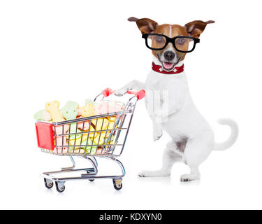 Chien Jack Russell en poussant un chariot plein de gâteries et biscuits , isolé sur fond blanc Banque D'Images