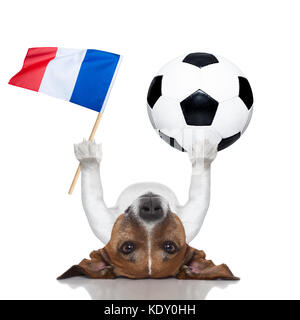 Championnat de football avec chien Jack Russell ball football soccer et drapeau français isolé sur fond blanc Banque D'Images