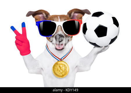 Championnat de football avec chien Jack Russell ball football soccer et drapeau français isolé sur fond blanc Banque D'Images