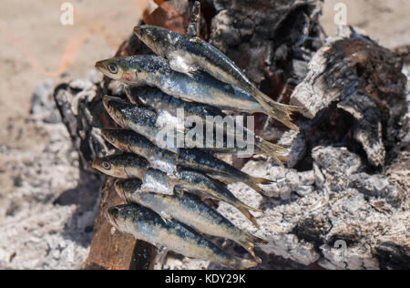 La sardine la cuisson sur un feu ouvert sur la plage Banque D'Images