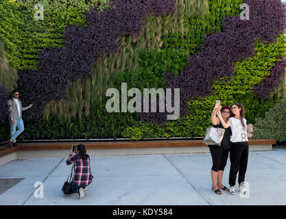 Le Livre vert mur vivant dans la vieille ville de Paphos, Chypre. Le jardin vertical a été créé par jardin designer Thanasis Evripidou et fait de de 2 244 plantes. Banque D'Images