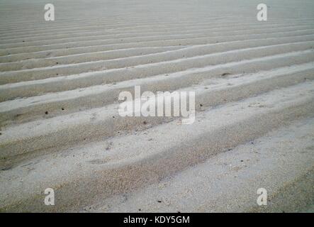Une série d'étapes à gauche dans le sable par la marée descendante. le sable est blanc. petits trous faits par les crabes peuvent être vus. les étapes jusqu'à l'horizon. Banque D'Images