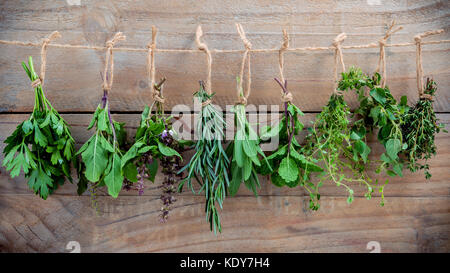 Un assortiment de plantes suspendues ,le persil, menthe, origan, romarin, sauge, basilic, basilic sacré, et le thym pour l'assaisonnement concept sur fond de bois vieux rustique. Banque D'Images