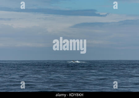 L'aileron de requin rock, Cornwall Banque D'Images