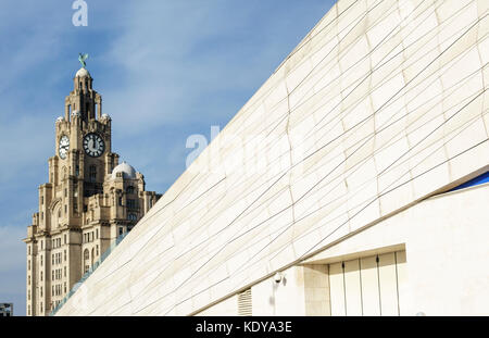 Pier Head, Liverpool, Royaume-Uni. Le Royal Liver Building (1911) vu sur le toit du musée de Liverpool (2011) sur la rivière Mersey waterfront Banque D'Images