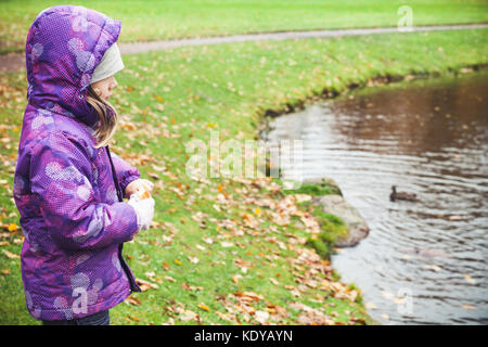 Petite fille rss canards sur un lac coast in autumn park Banque D'Images