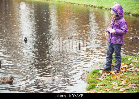 Petite fille rss canards sur le lac en automne park Banque D'Images