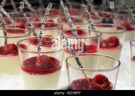 Le dessert. close up de panna cotta dessert avec fruits de la forêt Banque D'Images