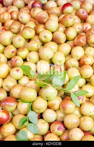 Jujubier (ziziphus jujuba) aussi appelé le chinois fruits Apple sur un marché local, selective focus. Banque D'Images